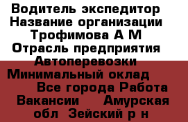 Водитель-экспедитор › Название организации ­ Трофимова А.М › Отрасль предприятия ­ Автоперевозки › Минимальный оклад ­ 65 000 - Все города Работа » Вакансии   . Амурская обл.,Зейский р-н